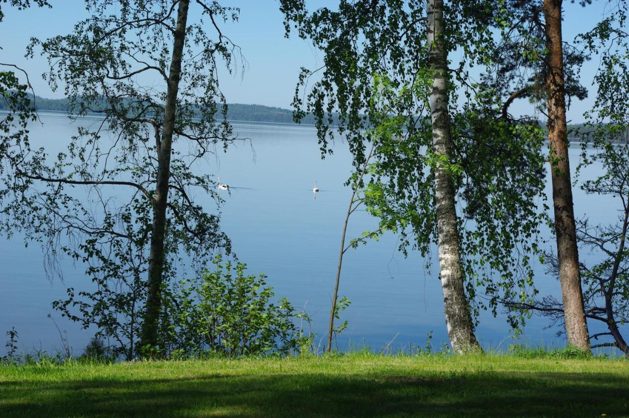 Tiiramoekki Villa Parikkala Bagian luar foto
